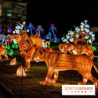 Photos : Thoiry Lumières Sauvages 2020-2021