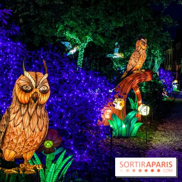 Photos : Thoiry Lumières Sauvages 2020-2021