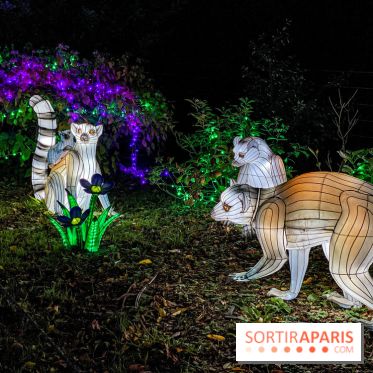 Photos : Thoiry Lumières Sauvages 2020-2021