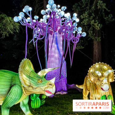 Photos : Thoiry Lumières Sauvages 2020-2021