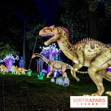 Photos : Thoiry Lumières Sauvages 2020-2021