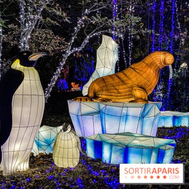 Photos : Thoiry Lumières Sauvages 2020-2021