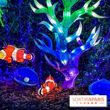 Photos : Thoiry Lumières Sauvages 2020-2021