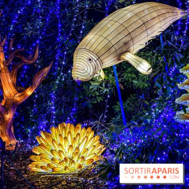 Photos : Thoiry Lumières Sauvages 2020-2021