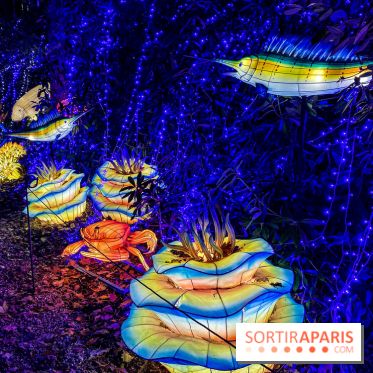 Photos : Thoiry Lumières Sauvages 2020-2021