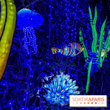 Photos : Thoiry Lumières Sauvages 2020