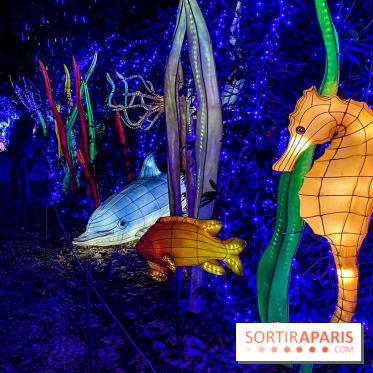 Photos : Thoiry Lumières Sauvages 2020