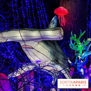 Photos : Thoiry Lumières Sauvages 2020