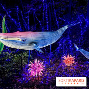 Photos : Thoiry Lumières Sauvages 2020