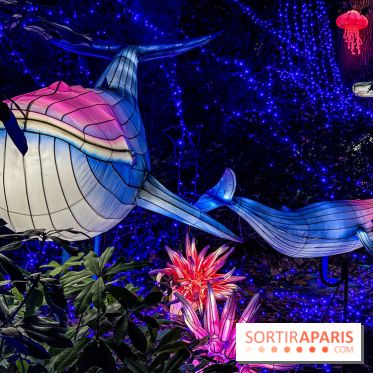 Photos : Thoiry Lumières Sauvages 2020 océan