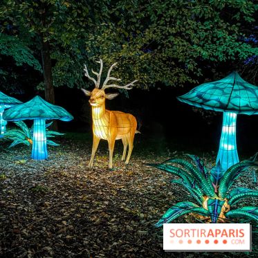 Photos : Thoiry Lumières Sauvages 2020