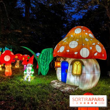 Photos : Thoiry Lumières Sauvages 2020