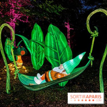 Photos : Thoiry Lumières Sauvages 2020