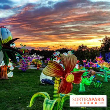 Photos : Thoiry Lumières Sauvages 2020-2021