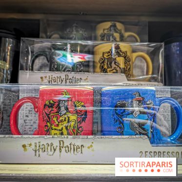 Boutique Wizarding World Harry Potter au Village JouéClub