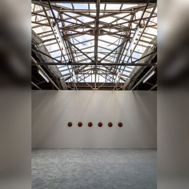 Exposition Anticorps au Palais de Tokyo