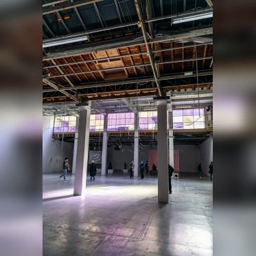 Exposition Anticorps au Palais de Tokyo