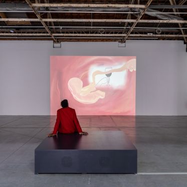 Exposition Anticorps au Palais de Tokyo