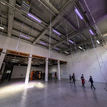 Exposition Anticorps au Palais de Tokyo