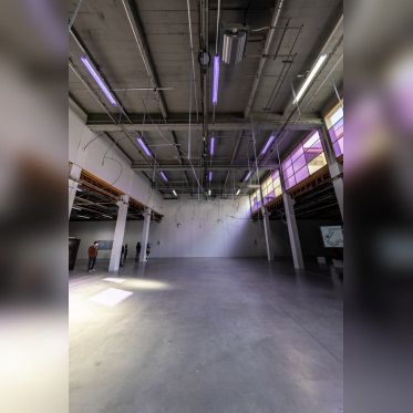 Exposition Anticorps au Palais de Tokyo