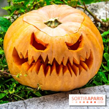 Halloween 2020 : comment creuser sa citrouille ? Le tuto