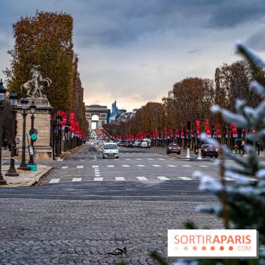 Photos : Illuminations et sapins de Noël Place de la Concorde