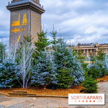 Photos : Illuminations et sapins de Noël Place de la Concorde