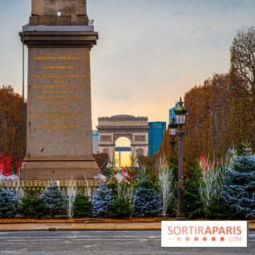 Photos : Illuminations et sapins de Noël Place de la Concorde