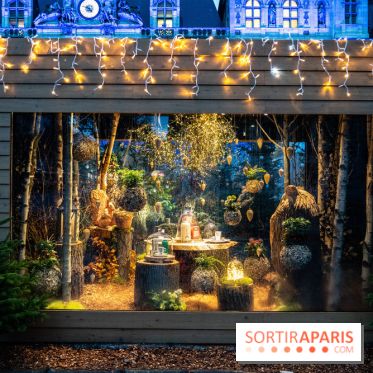 Photos : Village et illuminations de Noël de l'Hôtel de Ville 2020