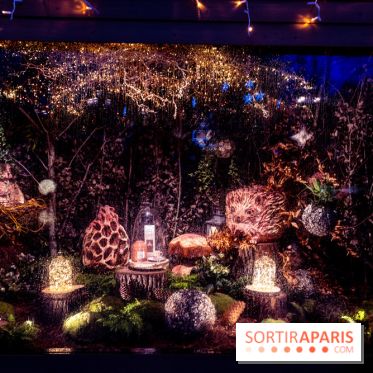 Photos : Village et illuminations de Noël de l'Hôtel de Ville 2020