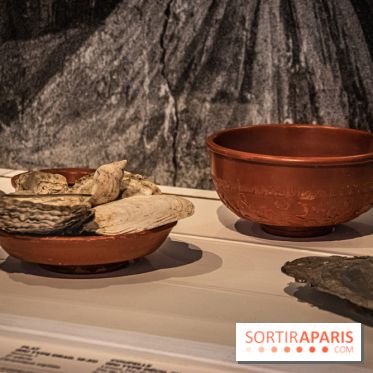 À Table ! Le repas tout un art, l'exposition au musée de Sèvres - Cité de la Céramique - nos photos