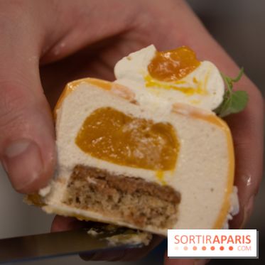 Photos : Les Bûches de Noël de Yann Menguy à la Goutte d'Or Pâtisserie 2020