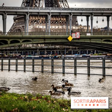 La Seine en crue février 2021