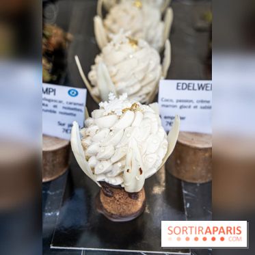 Photos : Wonderland Pâtisserie 