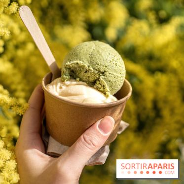 Photos : Wonderland Pâtisserie 