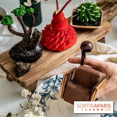 Photos : Wonderland Pâtisserie 