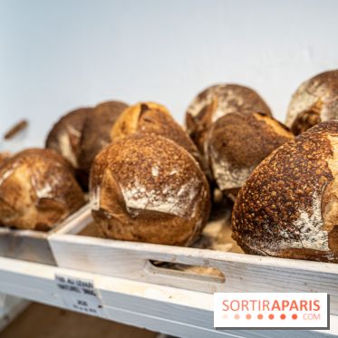 Photos : Wonderland Pâtisserie 