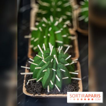 Photos : Wonderland Pâtisserie 