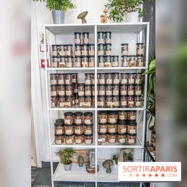 Photos : Wonderland Pâtisserie 