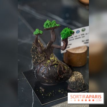 Photos : Wonderland Pâtisserie 