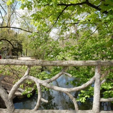 Rosa Bonheur de la Porte Jaune, les photos
