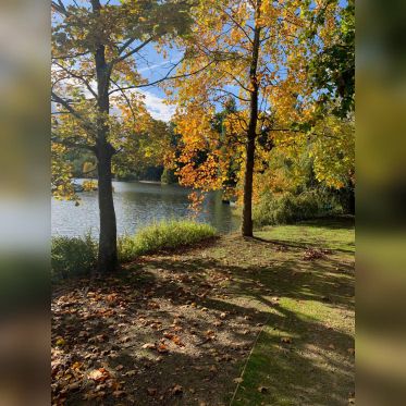 Rosa Bonheur de la Porte Jaune, les photos