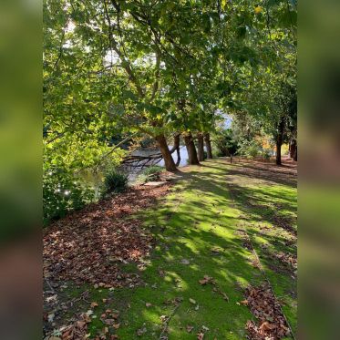 Rosa Bonheur de la Porte Jaune, les photos