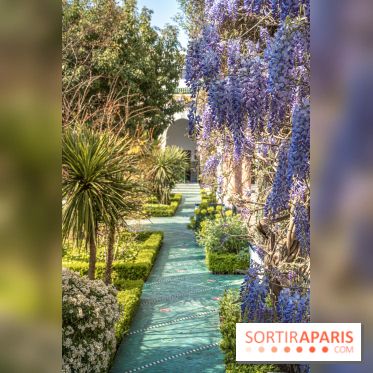 La Mosquée de Paris et son jardin en fleurs