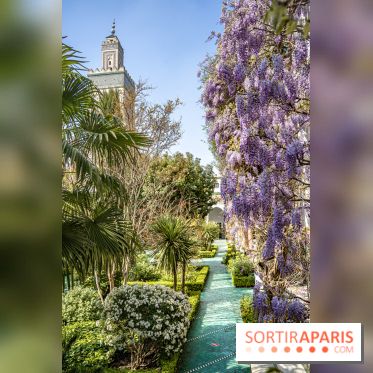 La Mosquée de Paris et son jardin en fleurs