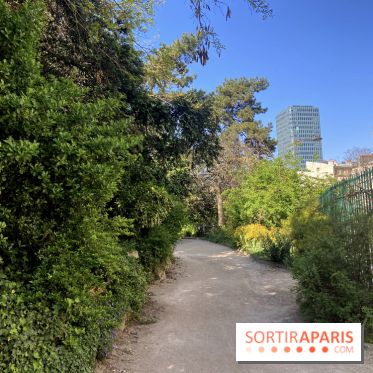 Les Arènes de Lutèce à Paris