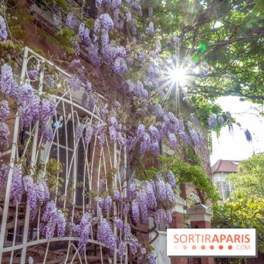 La Cité Florale à Paris