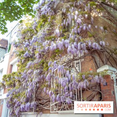 La Cité Florale à Paris