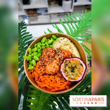 Pokelife, les photos