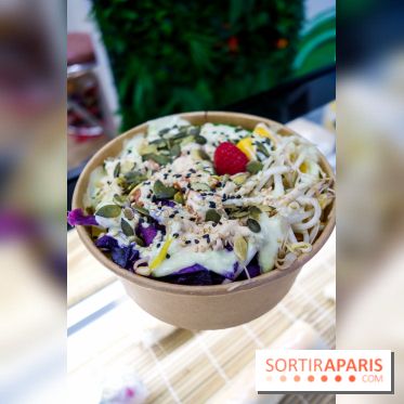 Pokelife, les photos